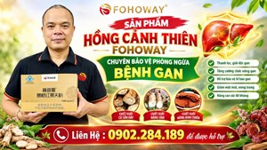 Giá Bán Hồng Cành Thiên Fohoway Và Công Năng Tác Dụng Thành Phần Chính